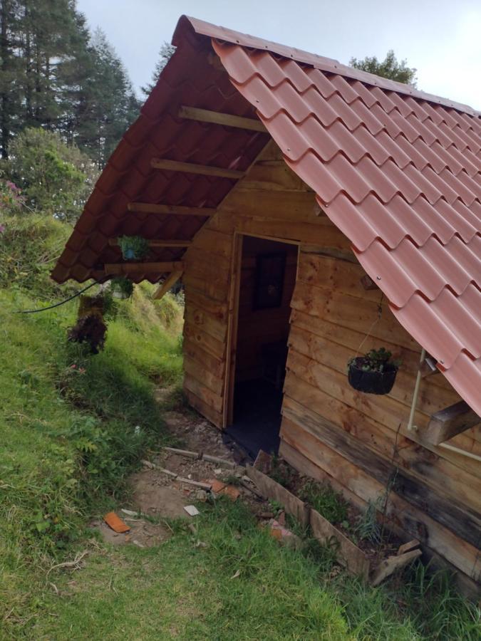 El Pital Ecolodge San Ignacio Bagian luar foto