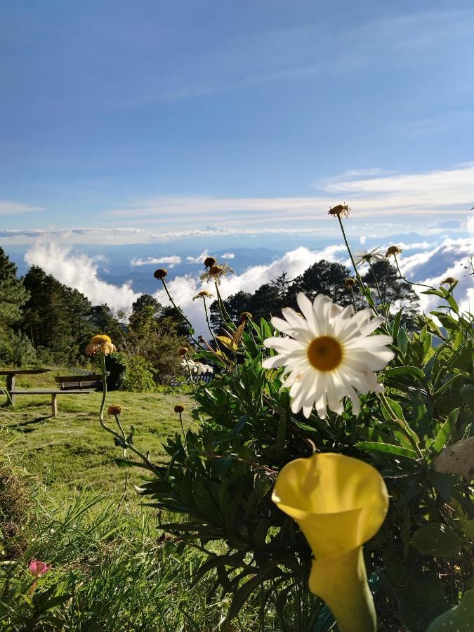 El Pital Ecolodge San Ignacio Bagian luar foto