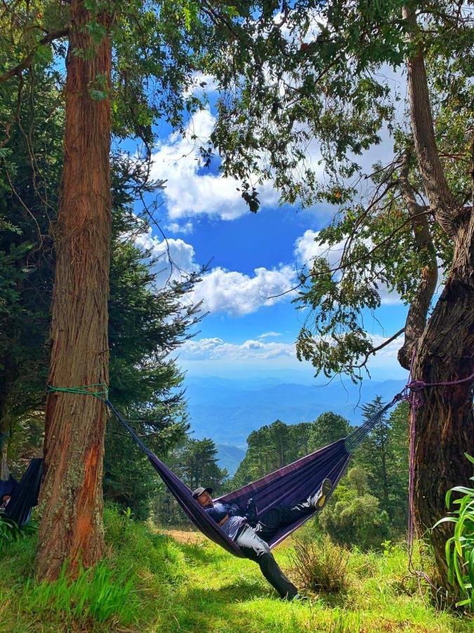 El Pital Ecolodge San Ignacio Bagian luar foto