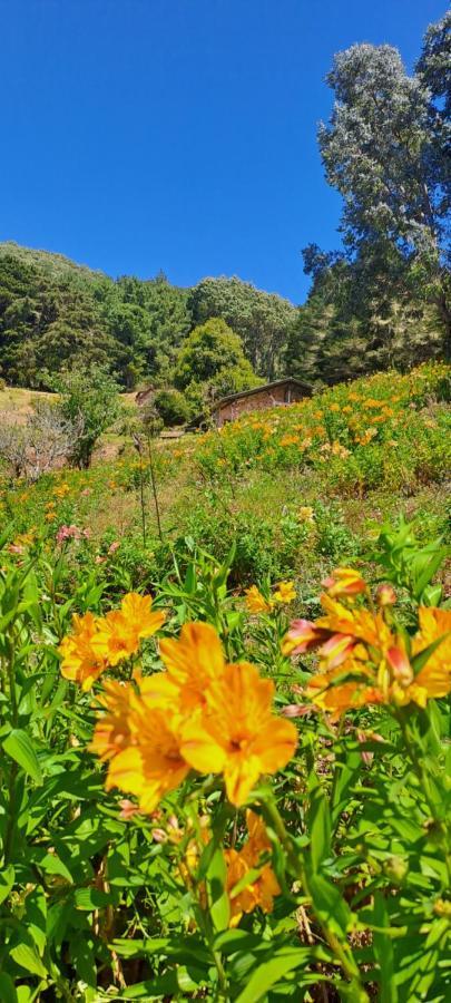 El Pital Ecolodge San Ignacio Bagian luar foto