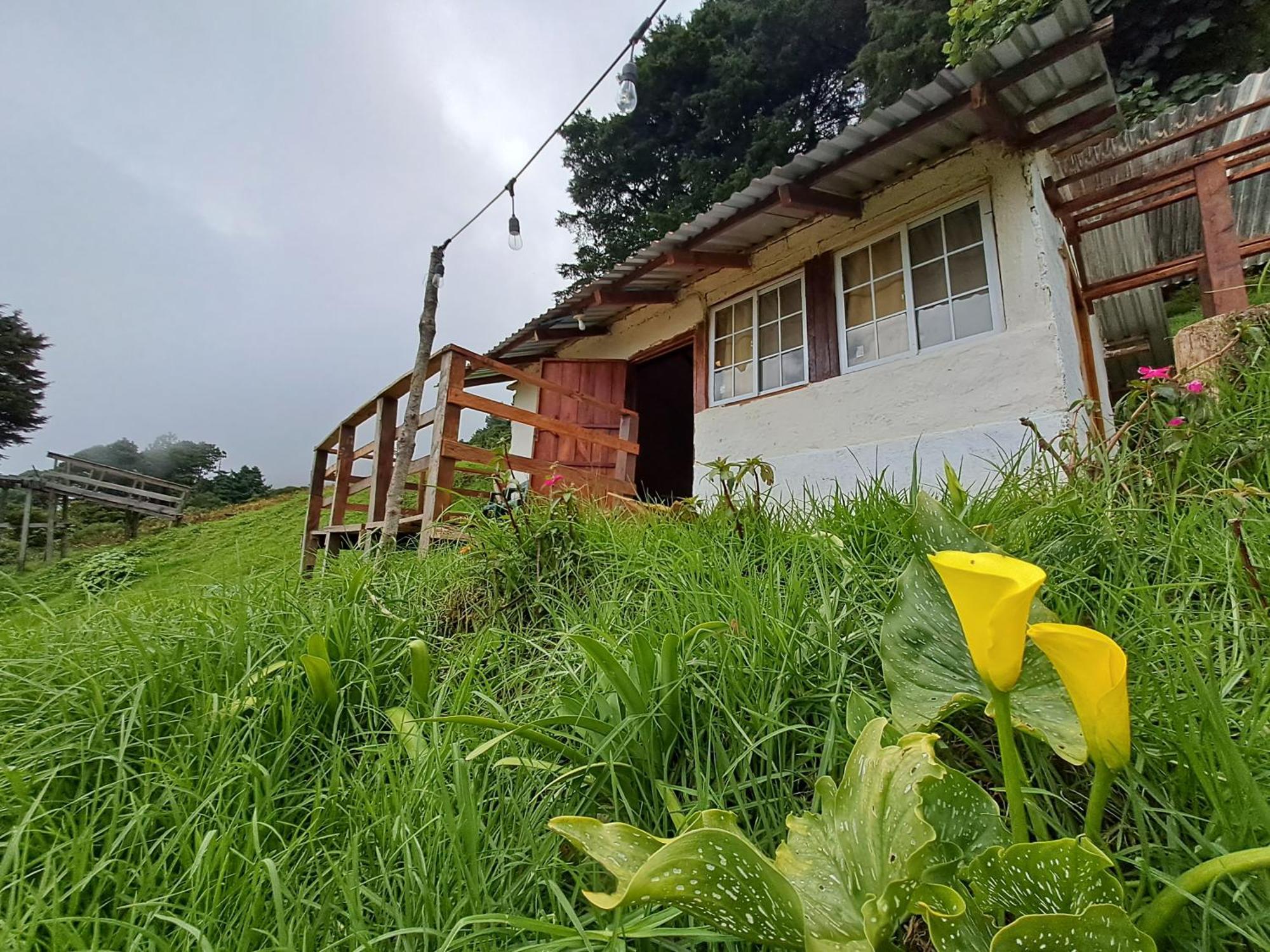 El Pital Ecolodge San Ignacio Bagian luar foto